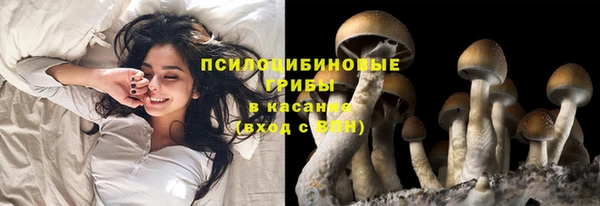 ГАЛЛЮЦИНОГЕННЫЕ ГРИБЫ Вязники