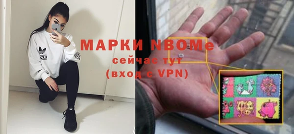 ГАЛЛЮЦИНОГЕННЫЕ ГРИБЫ Вязники
