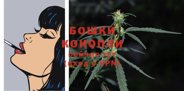 ГАЛЛЮЦИНОГЕННЫЕ ГРИБЫ Вязники