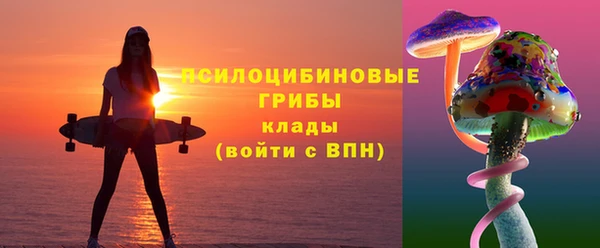 соль курить ск Вяземский