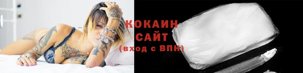 ГАЛЛЮЦИНОГЕННЫЕ ГРИБЫ Вязники