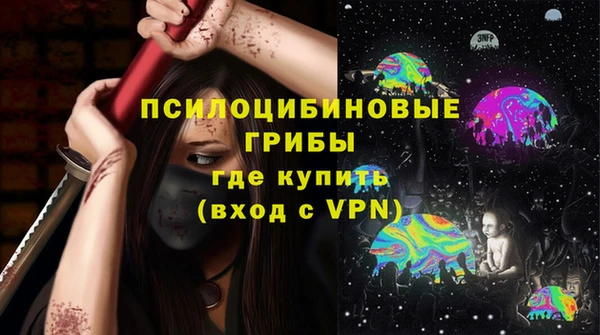 сатива Вязьма
