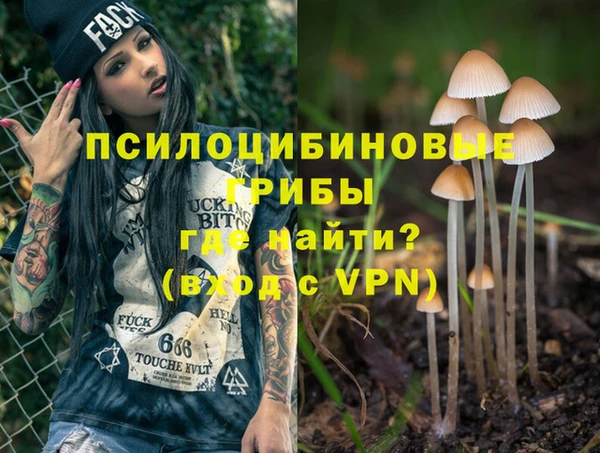 сатива Вязьма