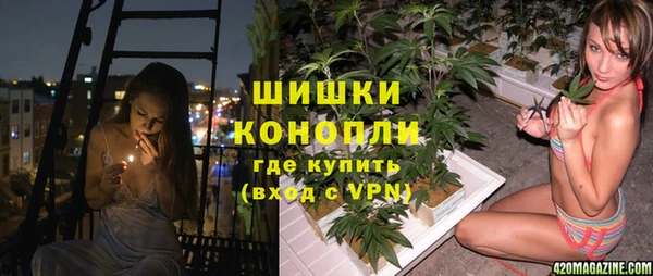 ГАЛЛЮЦИНОГЕННЫЕ ГРИБЫ Вязники